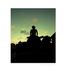 dailyPhoto10